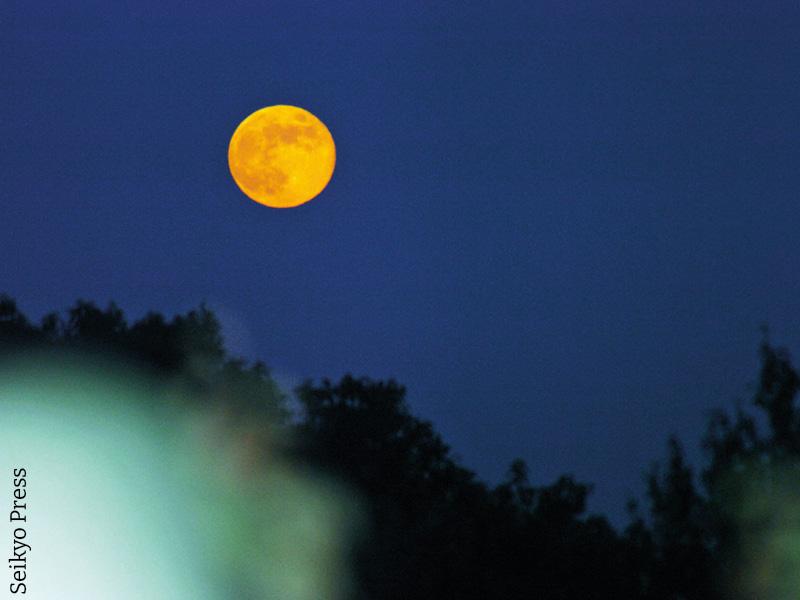 immagine di copertina