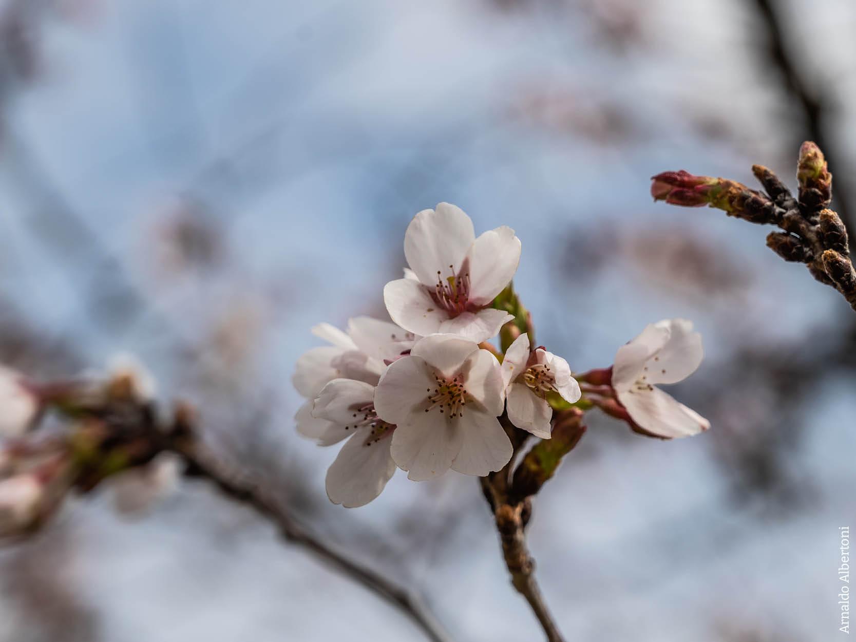 Ai compagni e compagne di fede dell'Emilia Romagna