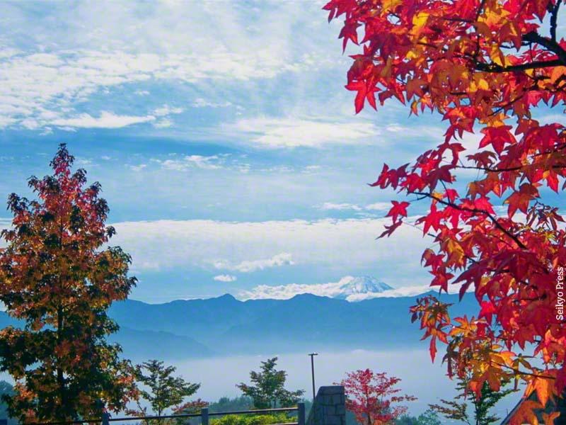 immagine di copertina